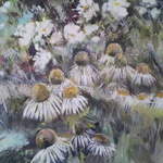 Echinacea Border 2 - 100 x 80 cms - Acrylic Mixed Media on Box Canvas
